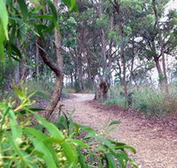 Mount Mutton Walking Trail - eAccommodation