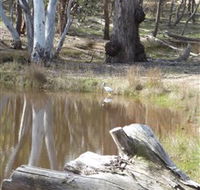Mulligans Flat - eAccommodation