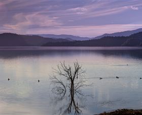 Scone NSW eAccommodation