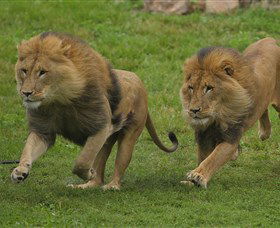 National Zoo & Aquarium - eAccommodation 4