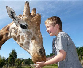 National Zoo & Aquarium - eAccommodation 3