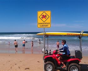 Waratah Adventure Tours - eAccommodation 2