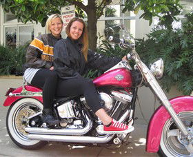 Wild Ride Harley And Motorcycle Tours - eAccommodation 0