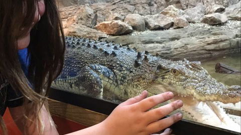 Canberra Reptile Zoo - eAccommodation 3