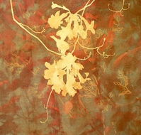 Fellia Melas Gallery - eAccommodation