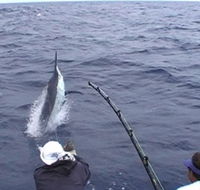 Amokura Charters - eAccommodation