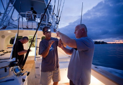 Amokura Charters - eAccommodation 1