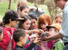 Blackbutt Reserve - eAccommodation 2