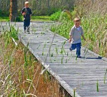 Hunter Wetlands Centre Australia - eAccommodation 1