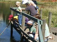 Hunter Wetlands Centre Australia - eAccommodation 2