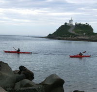 Newcastle Kayak Tours - eAccommodation