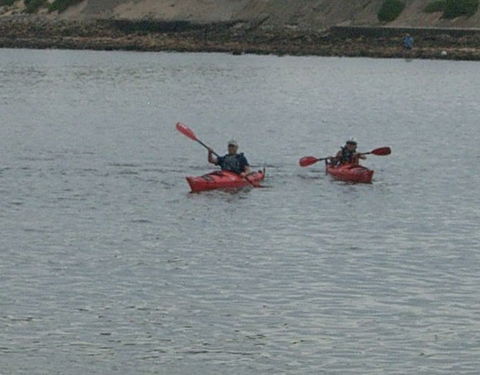 Newcastle Kayak Tours - eAccommodation 4