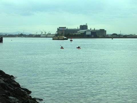 Newcastle Kayak Tours - eAccommodation 5