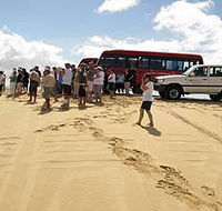 Port Stephens 4WD Tours - eAccommodation