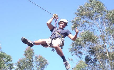 TreeTops Newcastle - eAccommodation 1