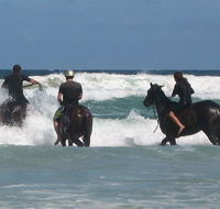 Pegasus Park Equestrian Centre - eAccommodation