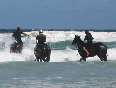 Pegasus Park Equestrian Centre - eAccommodation 0