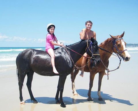 Pegasus Park Equestrian Centre - eAccommodation 1