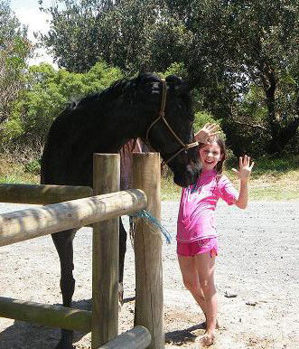 Pegasus Park Equestrian Centre - eAccommodation 3