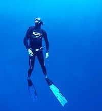 Byron Bay Dive Centre - eAccommodation 1