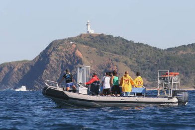 Byron Bay Dolphin Wildlife Tours - eAccommodation 1