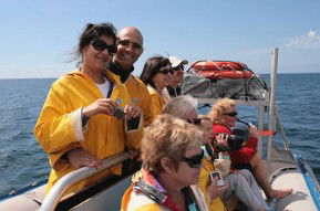 Byron Bay Dolphin Wildlife Tours - eAccommodation 2