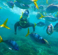 G Adventures - eAccommodation