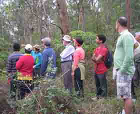 Boronia Tours - eAccommodation 0
