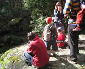 Boronia Tours - eAccommodation 2