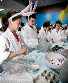 Australian Nuclear Science And Technology Organisation - eAccommodation 1