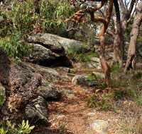 Box Head track - eAccommodation