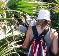 Palm Jungle loop track - eAccommodation