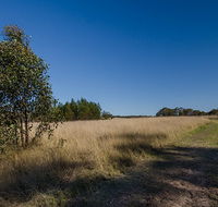 Scheyville horse riding trails - eAccommodation