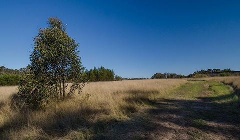Scheyville Horse Riding Trails - eAccommodation 0