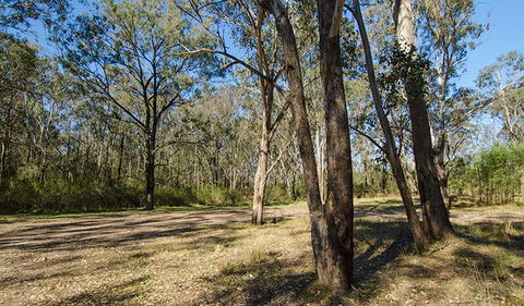 Scheyville Horse Riding Trails - eAccommodation 1