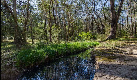 Scheyville Horse Riding Trails - eAccommodation 2