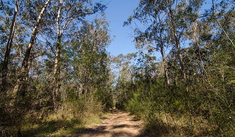 Scheyville Horse Riding Trails - eAccommodation 3