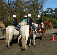 Darkes Forest Riding Ranch - eAccommodation