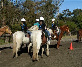 Darkes Forest Riding Ranch - eAccommodation 0