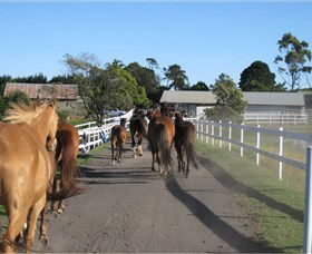 Darkes Forest Riding Ranch - eAccommodation 1