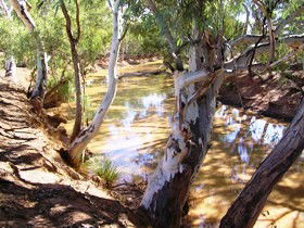 Quilberry Creek Fishing - eAccommodation 1