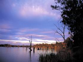 Loch Luna Game Reserve And Moorook Game Reserve - eAccommodation 0