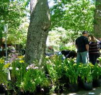 The Stirling Market - eAccommodation