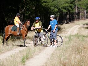 Kidman Trail - eAccommodation 1
