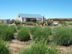 Emu Bay Lavender - eAccommodation 1
