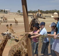 Monarto Open Range Zoo - eAccommodation