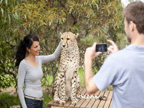 Monarto Open Range Zoo - eAccommodation 1