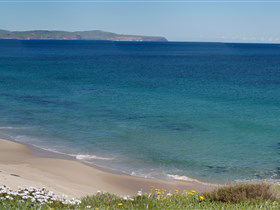 Carrickalinga Beach - eAccommodation 1