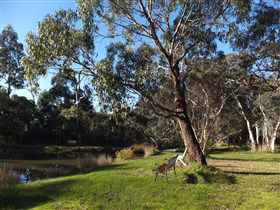 Mount Compass And District Produce And Tourist Trail - eAccommodation 3