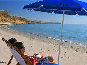 Lady Bay Beach - eAccommodation 0